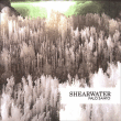 Shearwater&nbsp;-&nbsp;Palo Santo