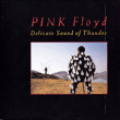 Pink Floyd&nbsp;-&nbsp;Delicate sound of thunder