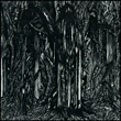 Sunn O&nbsp;-&nbsp;Black one