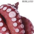 Ken Ishii&nbsp;-&nbsp;Sunriser