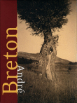 André Breton - L'Oeil à l'état sauvage - André Breton malgré tout&nbsp;-&nbsp;Fabrice Maze