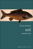 Exil&nbsp;-&nbsp;Bruno Pachent
