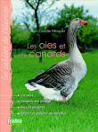 Les oies et canards