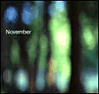 November&nbsp;-&nbsp;November