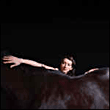 My Brightest Diamond&nbsp;-&nbsp;Bring me the workhorse