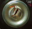Alexandre Saada Quintet&nbsp;-&nbsp;Be where you are
