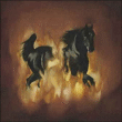 The Besnard Lakes&nbsp;-&nbsp;Besnard Lakes are the dark horse
