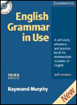 English grammar in use with answers