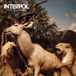 Interpol&nbsp;-&nbsp;Our love to admire