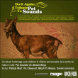 Beach Boys Tribute&nbsp;-&nbsp;Do it again - A tribute to Pet Sounds