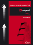 Droit pénal&nbsp;-&nbsp;Mikaël Benillouche