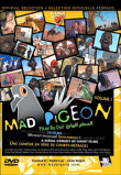 Mad pigeon&nbsp;-&nbsp;Julien Vergne