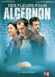 Des fleurs pour Algernon&nbsp;-&nbsp;David Delrieux
