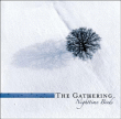 The Gathering&nbsp;-&nbsp;Nighttime birds - Nouvelle Edition limitée 2 CD