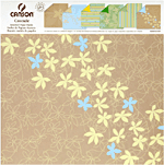 Canson papier Ambiance cascade