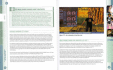 image de Le Guide Officiel - Second Life