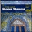 Le luth de Bagdad