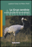 La grue cendr�e