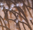 John Medeski, Martin, Wood