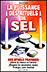 Puissance des rituels du sel