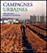 Les campagnes urbaines