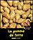 La pomme de terre