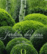 Jardin des sens