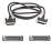 Comparez les prix Belkin c�blage droit, 25 conducteurs, s�rie pro