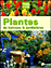 Plantes de balcons et jardini�res