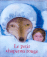 Le petit chaperon rouge