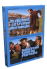 Coffret Yves Robert