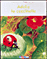 nouveaut&eacute; livre sur nouveaut&eacute; livre: Adelie la coccinelle