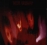 The Cure