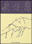 Cartes de massage