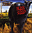 Dude ranch