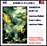 American ballads - Foste gallery - American salute
