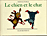 Tromboline, le chien et le chat