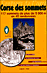Corse des sommets