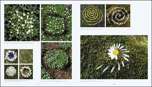 Extrait jouets de plantes