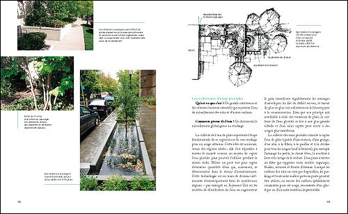 Les jardins et la pluie
