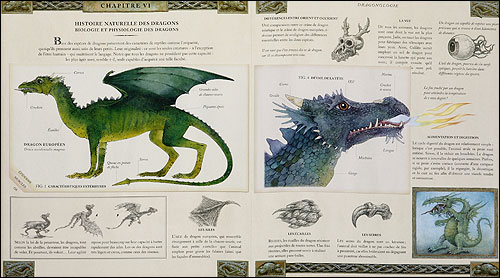 Dragonologie, l'encyclopédie des dragons 9782745913593_1