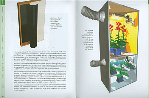 Culture en intérieur Master édition