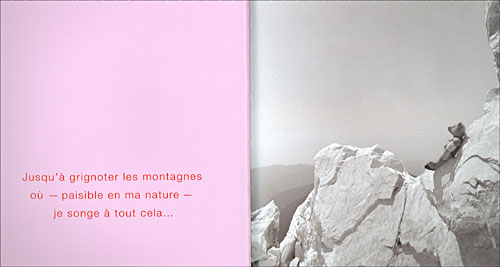 Les songes de l'Ours