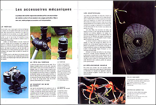 La macrophotographie