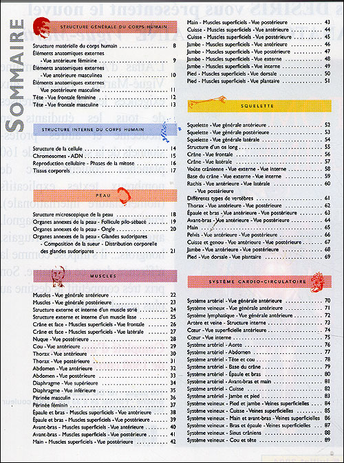 Atlas d'anatomie humaine