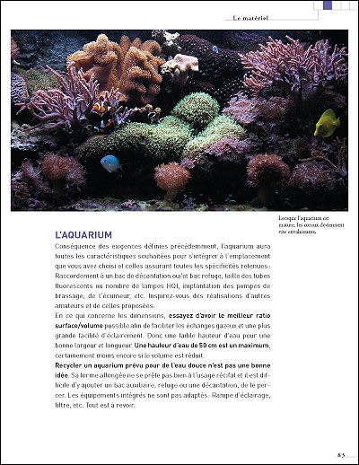 Petits aquariums récifaux