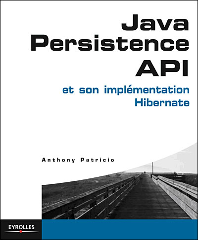 Java persistence with hibernate pdf download free download